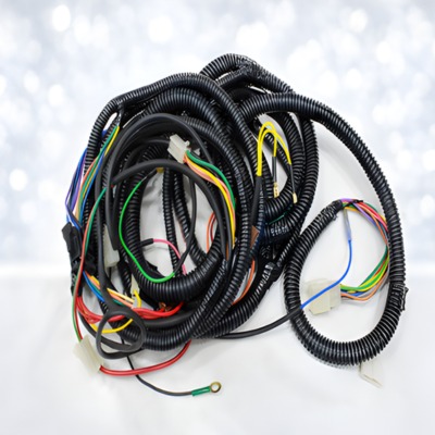 three-wheeler-harness-wiring